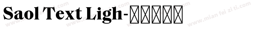 Saol Text Ligh字体转换